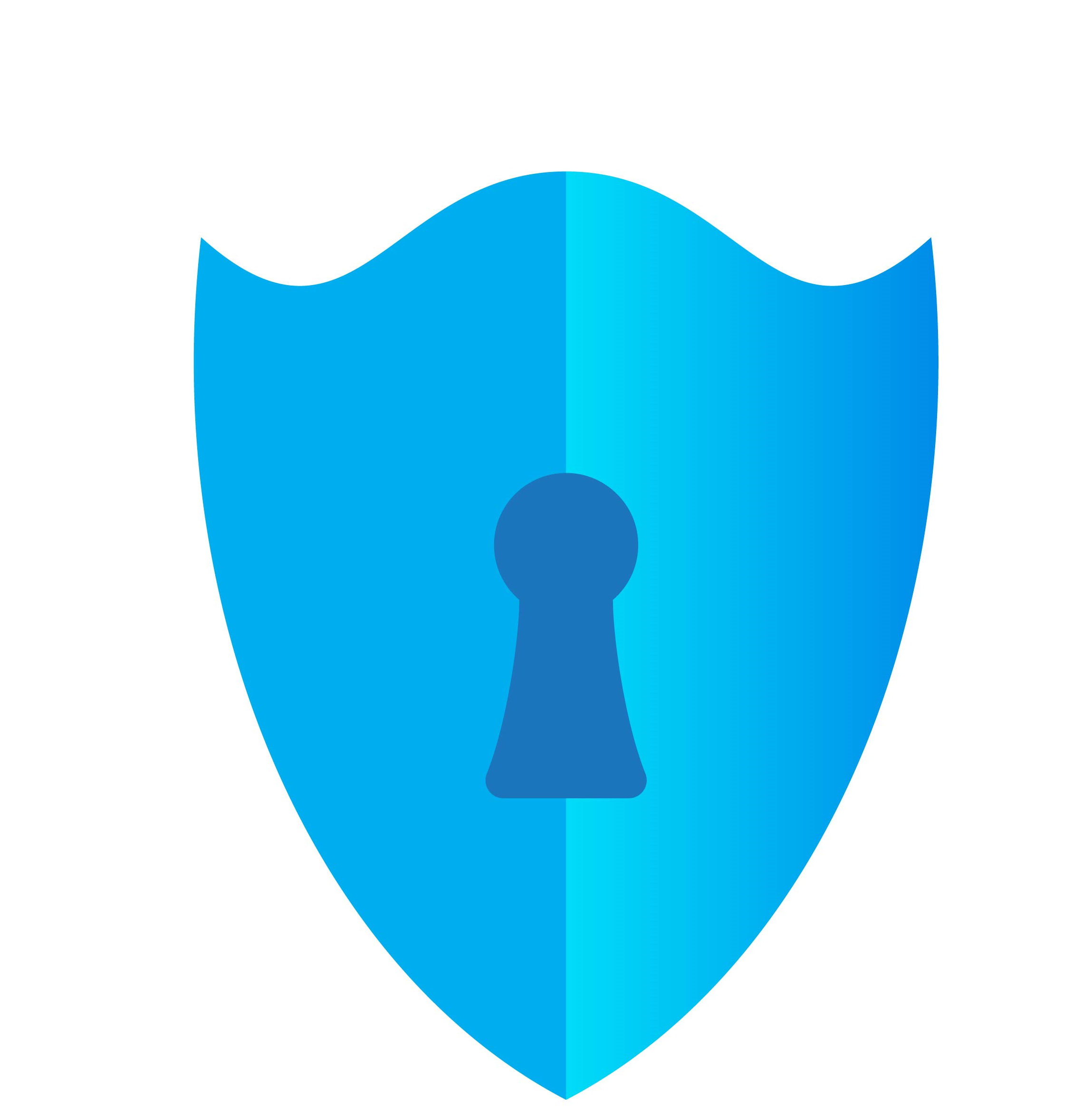 Cyber Security
